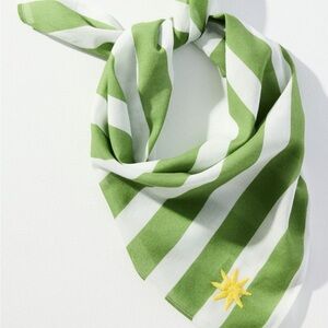 Anthropologie Green and White Striped Scarf